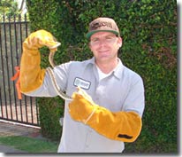 brave technician