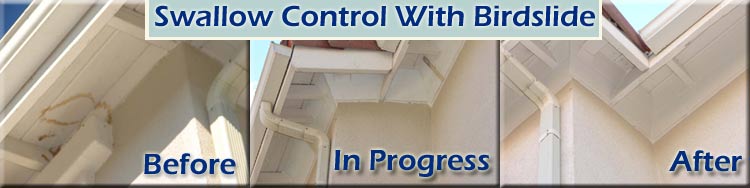 swallowproofing